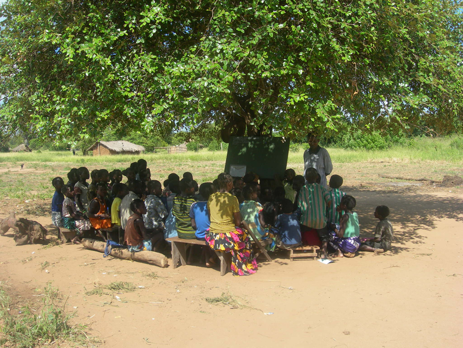 charla con los niños debajo de un arbol